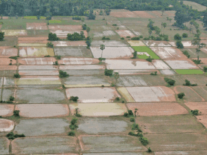 امور اراضی بهترین وکیل ملکی